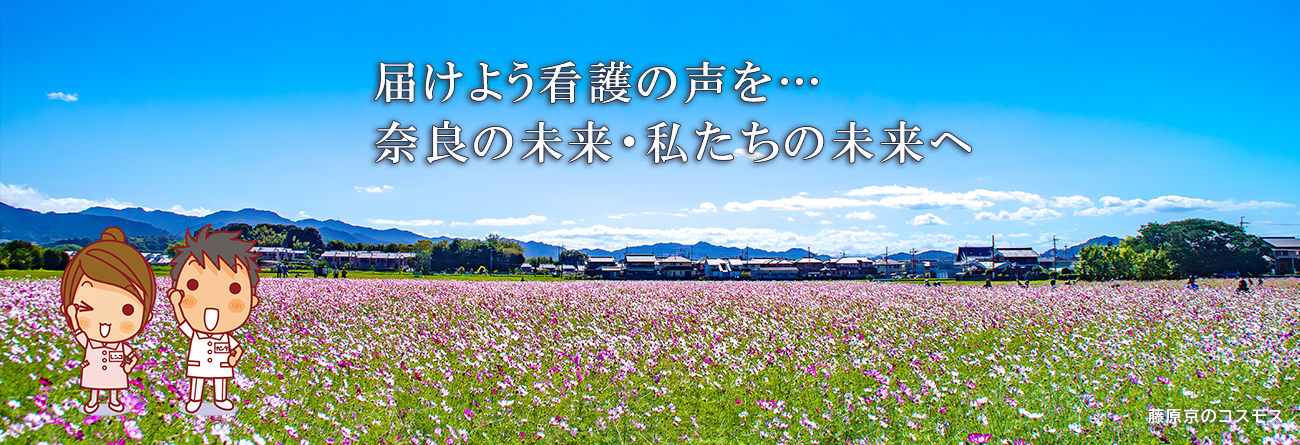 藤原京のコスモス