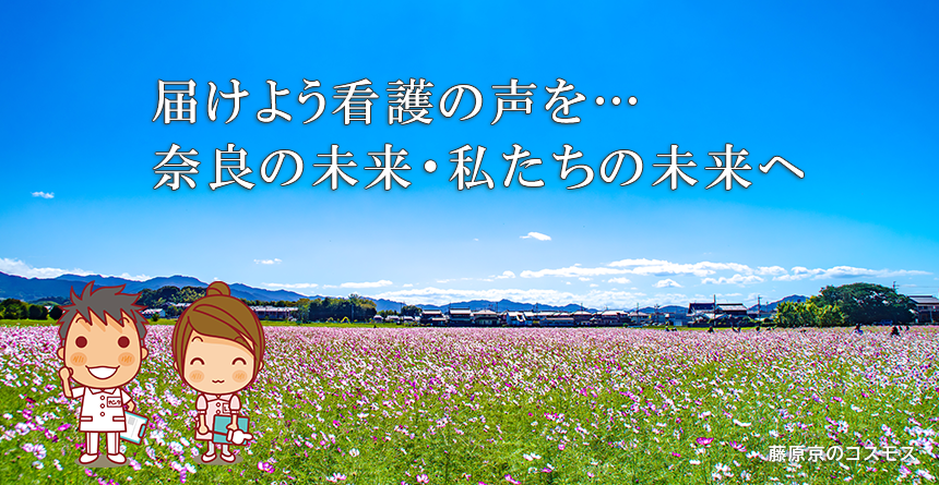 藤原京のコスモス