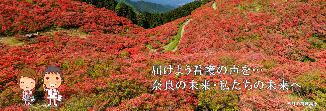 ５月の葛城高原