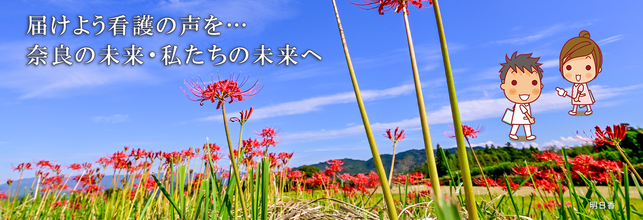 明日香村の彼岸花