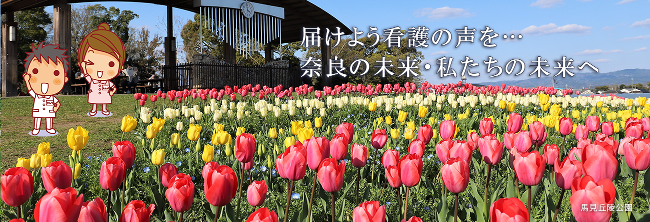 馬見丘陵公園の桜とチューリップ
