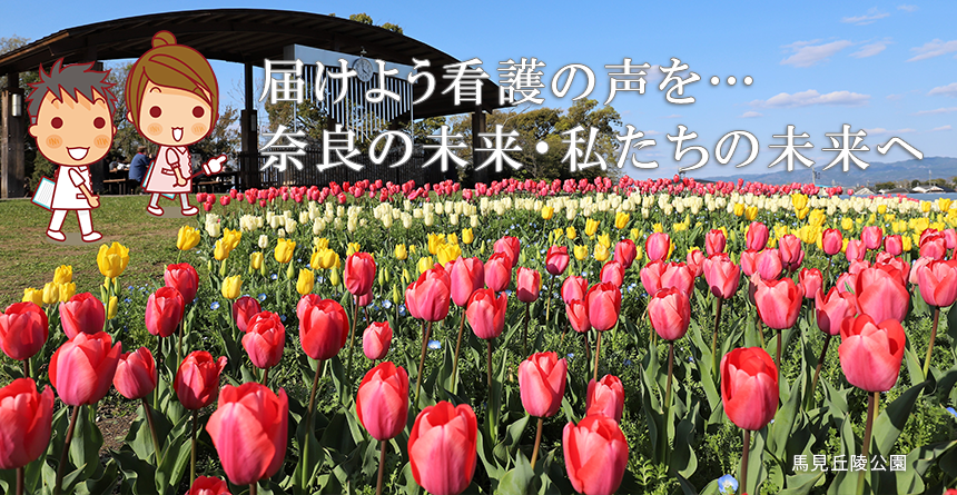 馬見丘陵公園の桜とチューリップ