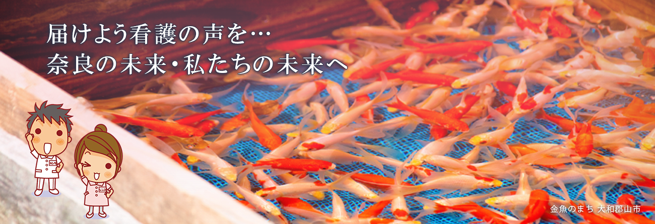 大和郡山の金魚