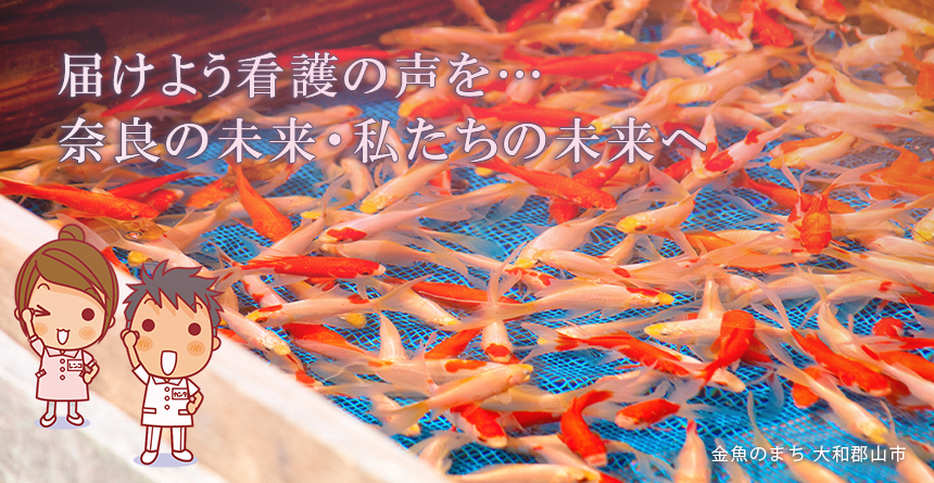 大和郡山の金魚